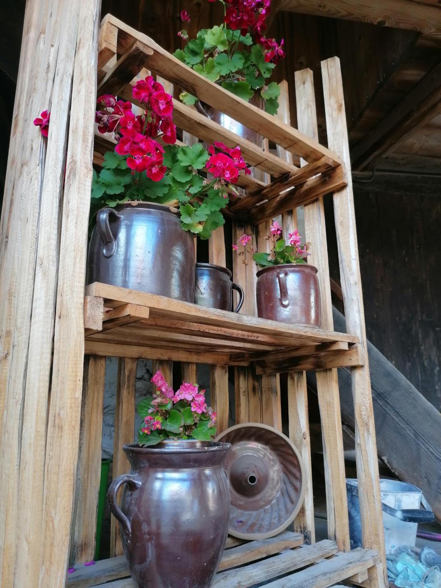 Ackerbuergerhof Ballstrasse 18 Quedlinburg Dış mekan fotoğraf
