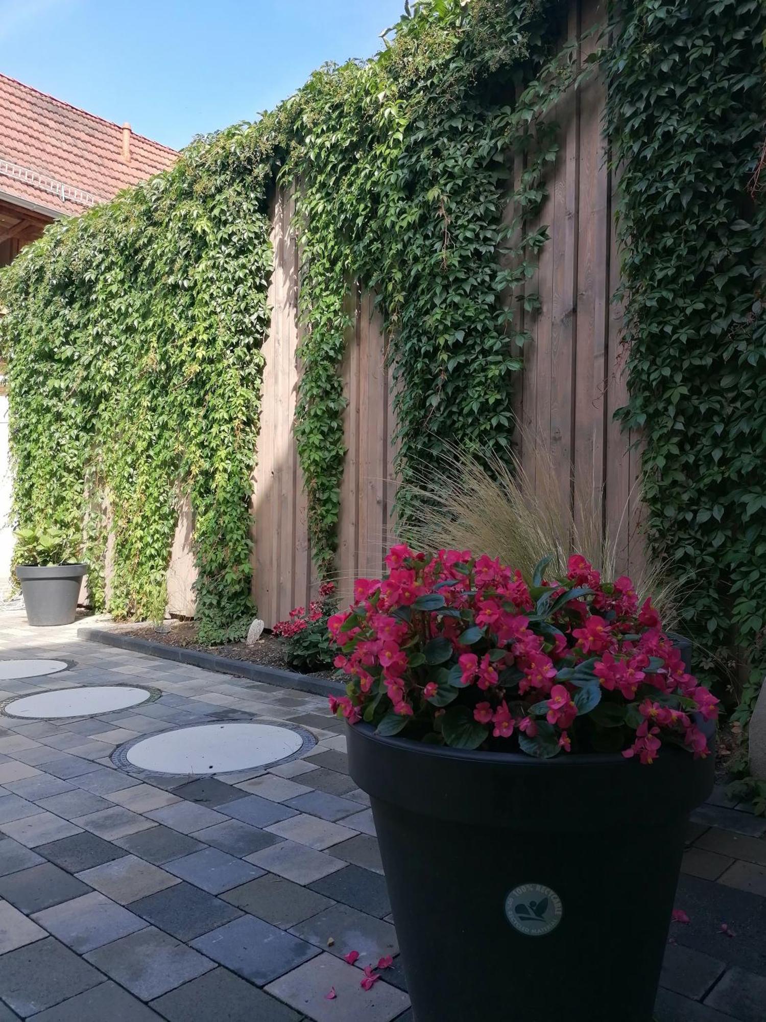 Ackerbuergerhof Ballstrasse 18 Quedlinburg Dış mekan fotoğraf